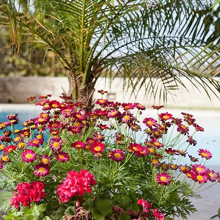 Pandora Villa *