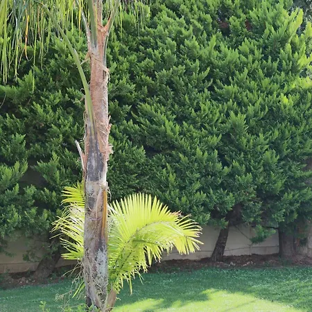 Pandora Chersonissos