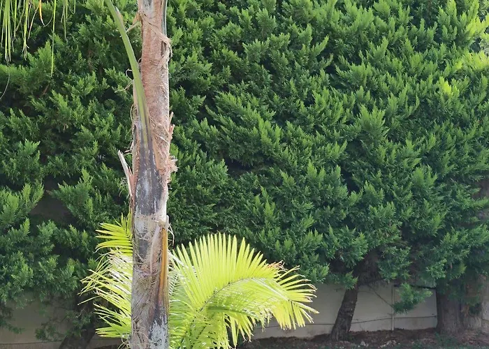 潘多拉别墅 赫索尼索斯